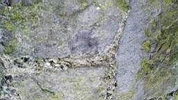 acastle
                          105330.jpg